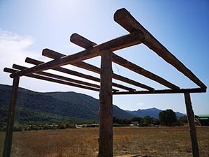Pergola rustica
