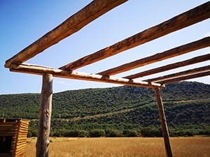 Pergola rustica
