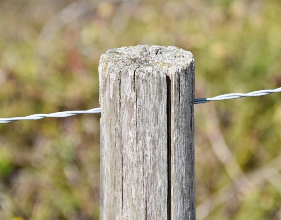 Postes de madera