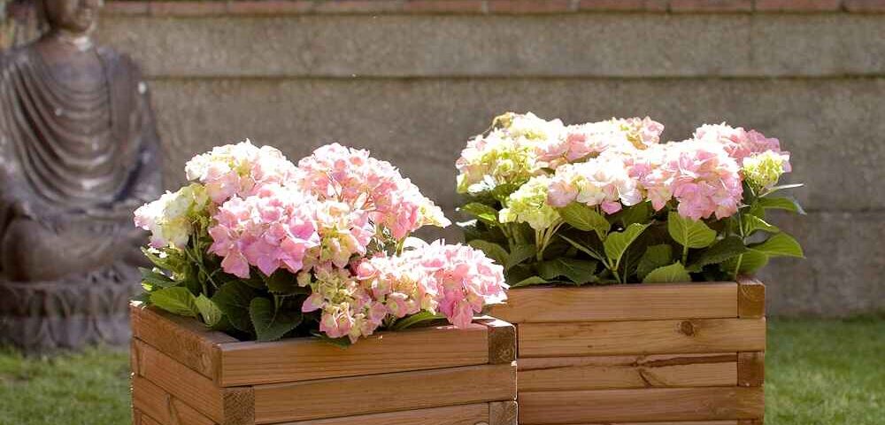 Jardinera cuadrada